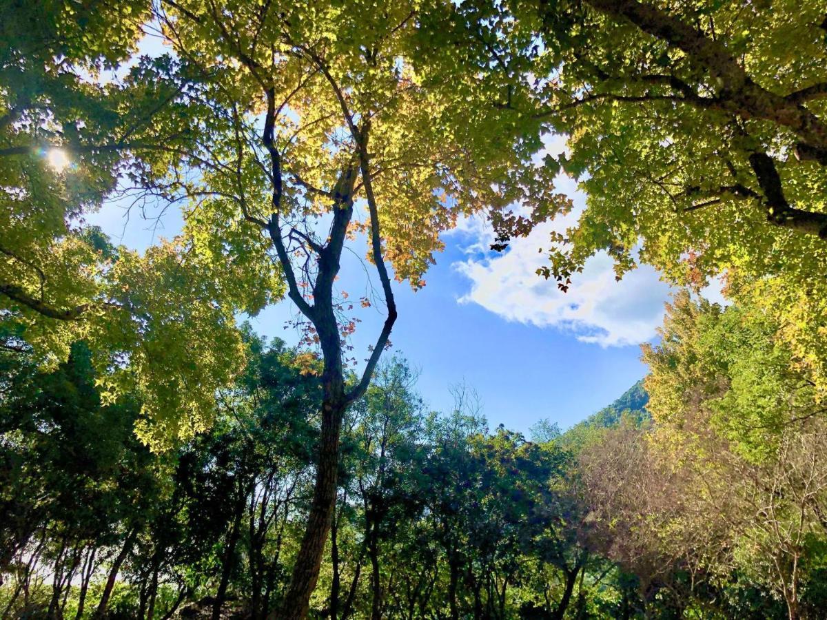 慢水山丘民宿 Slow Water Hill Yuemei Bagian luar foto